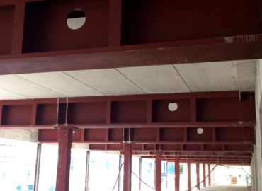 Hospital. ESTRUCTURAS METÁLICAS FRUTOS